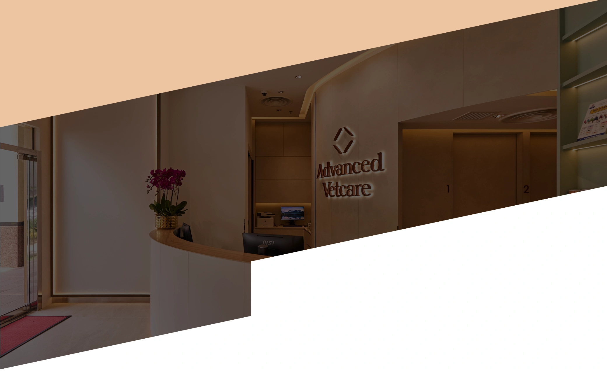 Features Background