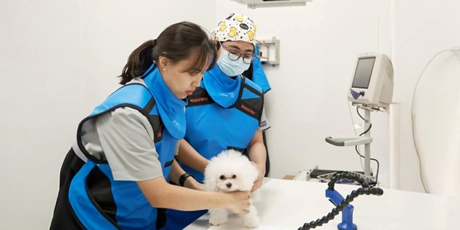 Advanced VetCare