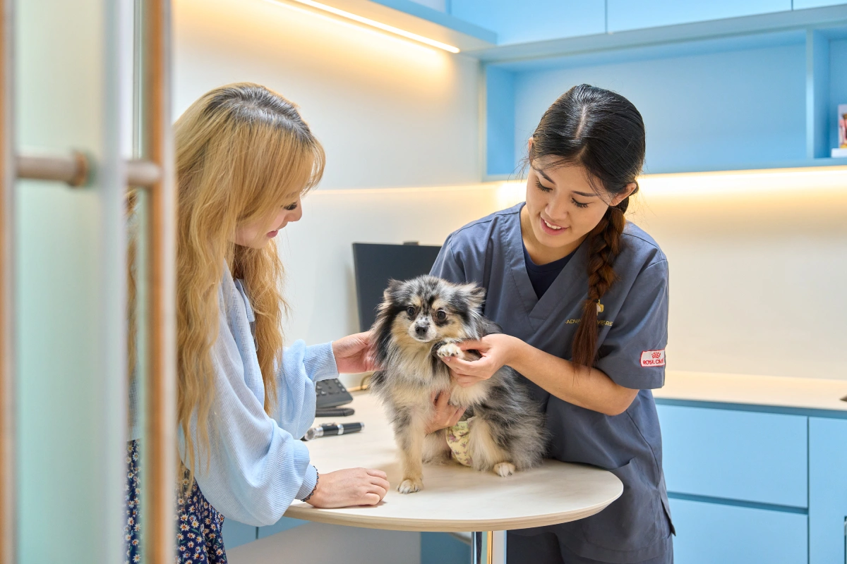 Advanced VetCare